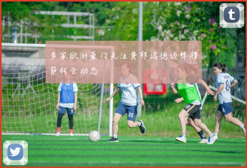 多家欧洲豪门关注费耶诺德边锋穆萨转会动态