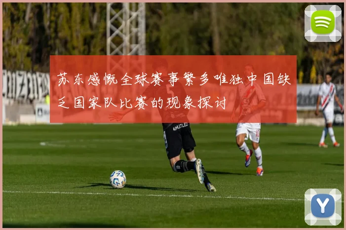 苏东感慨全球赛事繁多唯独中国缺乏国家队比赛的现象探讨