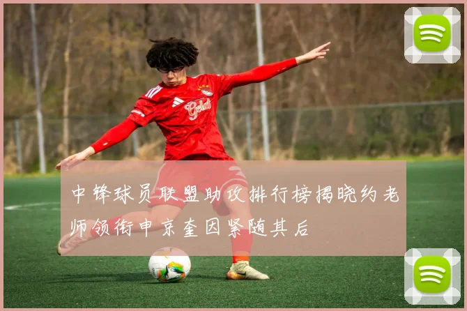 中锋球员联盟助攻排行榜揭晓约老师领衔申京奎因紧随其后