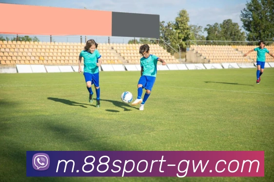 88体育APP 封面图